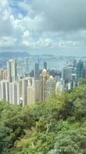 夏日伊始，让我们一起感受生命的绚烂 | 月度家音